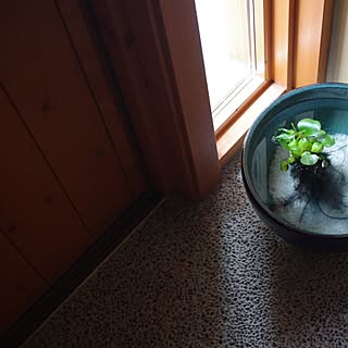 玄関 入り口 三和土のインテリア実例 Roomclip ルームクリップ