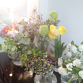 お花屋さんごっこのインテリア実例 Roomclip ルームクリップ お花屋さんごっこのインテリア実例 Roomclip ルームクリップ