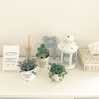 IKEA/ダイソー/ミニグリーン/シンプルライフ/ナチュラルインテリア...などのインテリア実例 - 2017-04-01 09:12:37