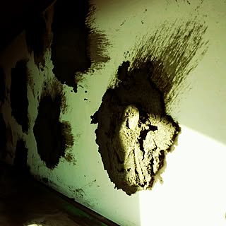 壁/天井/モルタル/Rustic/プロヴァンス/フレンチカントリー...などのインテリア実例 - 2014-03-18 16:36:20