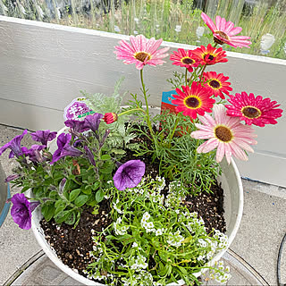 花のある暮らし マックスマムのインテリア実例 Roomclip ルームクリップ