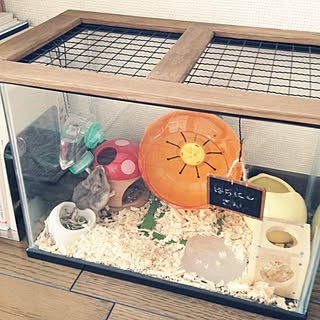 Diy ハムスターのインテリア 手作りの実例 Roomclip ルームクリップ