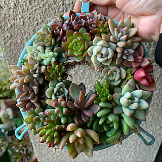 ざるリースのインテリア実例 Roomclip ルームクリップ