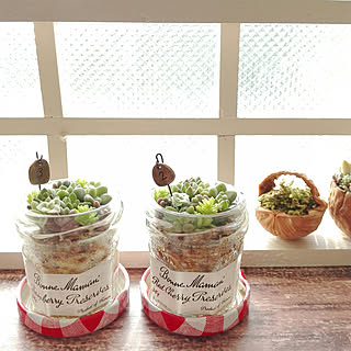 机/朝の1枚/グリーンのある暮らし/多肉植物/100均...などのインテリア実例 - 2017-09-21 08:07:43