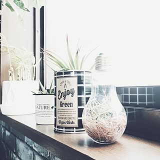 カインズホーム テラリウムのおしゃれなアレンジ 飾り方のインテリア実例 Roomclip ルームクリップ カインズホーム テラリウムのおしゃれなアレンジ 飾り方のインテリア実例 Roomclip ルームクリップ