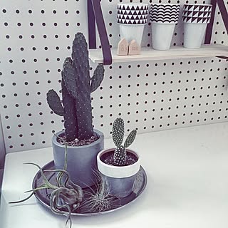 机/有孔ボード/DIY/北欧/エアプランツ...などのインテリア実例 - 2015-07-04 22:20:45