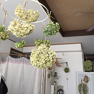 ドライフラワー 秋色紫陽花 のインテリア実例 Roomclip ルームクリップ