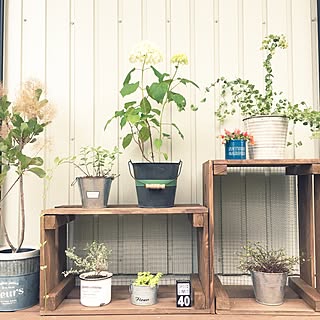 ガーデニング 木工雑貨のインテリア実例 Roomclip ルームクリップ