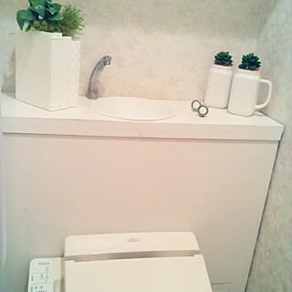 TOTO/★ホットユーザー⇒Thank you!★/タンクレス DIY♥/●主人のDIY●/●myアイデア●...などのインテリア実例 - 2017-06-26 20:46:53
