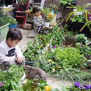 ベランダ うさぎのおしゃれなインテリアコーディネート レイアウトの実例 Roomclip ルームクリップ