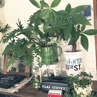 クリスマス雑貨/DIY/観葉植物/NO GREEN NO LIFE/いつもいいねやコメありがとうございます♡...などのインテリア実例 - 2016-12-14 09:12:45