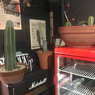 コーヒーのある暮らし/くつろぎ空間/観葉植物/ナチュラル/テーブル...などのインテリア実例 - 2020-02-23 22:27:03