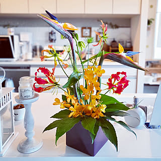 キッチン 花のある暮らし フラワーアレンジメント グロリオサ モカラ などのインテリア実例 22 05 12 13 18 00 Roomclip ルームクリップ