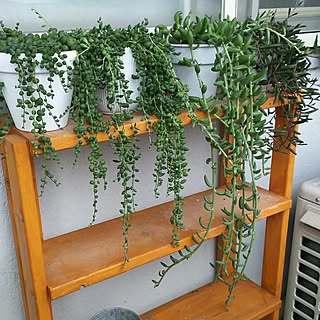 アーモンドネックレスのインテリア実例 Roomclip ルームクリップ