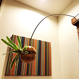 ポールスミスのインテリア実例 Roomclip ルームクリップ