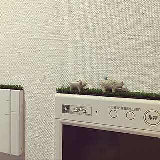 壁/天井/北欧/セリア/フェイクグリーンのインテリア実例 - 2016-10-08 07:43:00