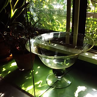 キッチン/ガラスコンテスト/カウンター/DIY/NO GREEN NO LIFE...などのインテリア実例 - 2014-09-09 09:11:25