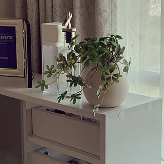 ニトリ 光触媒人工観葉植物のインテリア実例 Roomclip ルームクリップ ニトリ 光触媒人工観葉植物のインテリア実例 Roomclip ルームクリップ