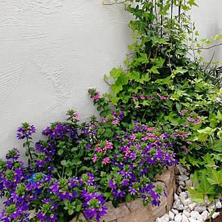 玄関 入り口 サンクエールのインテリア実例 Roomclip ルームクリップ