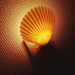 shell lamp/江ノ島/surf/Shell/Hawaiian roomのインテリア実例 - 2015-08-04 12:40:49