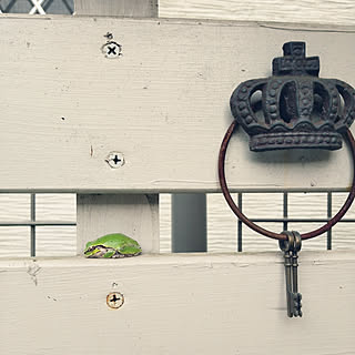 かえる嫌いな人ゴメンなさい のインテリア実例 Roomclip ルームクリップ