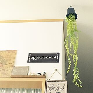 垂れ下がる植物のインテリア実例 Roomclip ルームクリップ