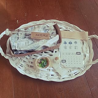 RC九州支部/しゃれとんしゃあ会/ai.ちゃん多肉♡/aiちゃん♡/aiちゃんのエコ多肉☆...などのインテリア実例 - 2014-06-20 08:42:14