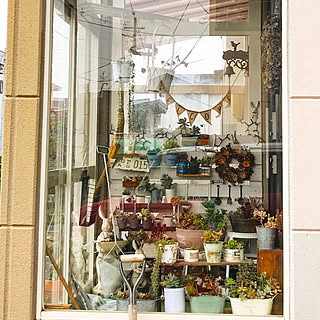 観葉植物 風除室のインテリア実例 Roomclip ルームクリップ