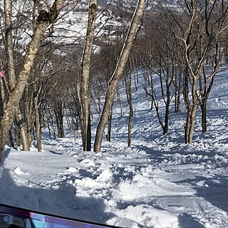 女性家族の、nacchintunnさんの実例写真