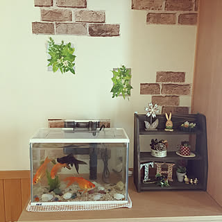 100均 金魚すくいの金魚のインテリア実例 Roomclip ルームクリップ 100均 金魚すくいの金魚のインテリア実例 Roomclip ルームクリップ