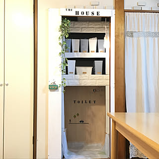 棚/ダイソー 収納ケース/わんちゃんのトイレ/ダイソー ペンダントライト/ダイソークッションレンガシート...などのインテリア実例 - 2018-11-23 21:48:51