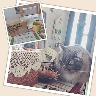 机/お部屋回りきれてなくてごめんなさい/いつもいいねやコメント感謝です♩/らくやきマーカー×陶器セット/モニター初当選!...などのインテリア実例 - 2017-05-19 19:32:40