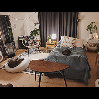 猫のいる部屋のインテリア実例 Roomclip ルームクリップ