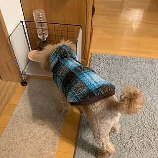 犬用食器のインテリア実例 Roomclip ルームクリップ