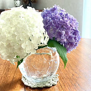 ガラスのフラワーベース 花びんのインテリア実例 Roomclip ルームクリップ ガラスのフラワーベース 花びんのインテリア実例 Roomclip ルームクリップ