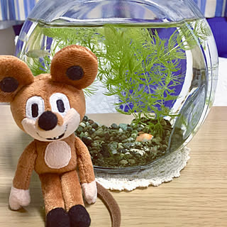 めだか物語楽天市場店のおすすめ家具 インテリアの商品一覧 全4件 Roomclipショッピング めだか物語楽天市場店のおすすめ家具 インテリアの商品一覧 全4件 Roomclipショッピング