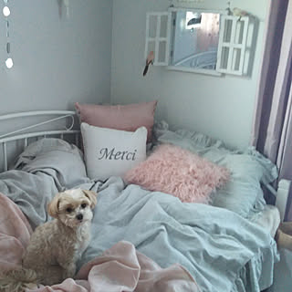 ニトリ 中学生部屋のインテリア実例 Roomclip ルームクリップ