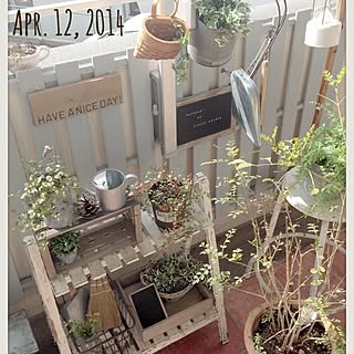 玄関 入り口 ワイヤープランツ復活 のインテリア実例 Roomclip ルームクリップ