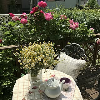 玄関/入り口/植物/日替わり投稿企画!木曜日/ガーデニング/ウッドデッキgarden...などのインテリア実例 - 2017-05-13 00:36:19