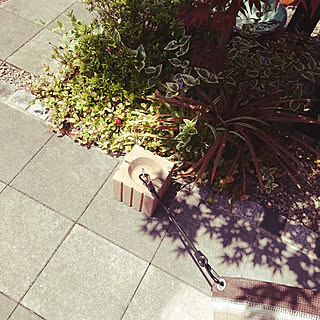 カインズホーム サンシェードのインテリア実例 Roomclip ルームクリップ