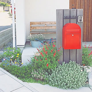 ホットリップスのインテリア実例 Roomclip ルームクリップ