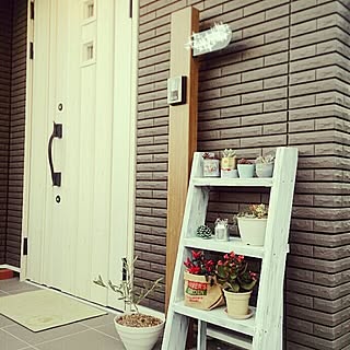 玄関 入り口 はしごのインテリア実例 Roomclip ルームクリップ