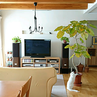 部屋全体/暮らしの一コマ/スウェーデンハウス /北欧/北欧雑貨...などのインテリア実例 - 2018-03-15 19:56:04