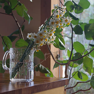 Other、家族住まいの「リビング」についてのインテリア実例