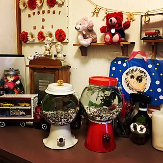 100均 ベタ ボトルアクアのインテリア実例 Roomclip ルームクリップ