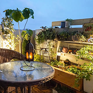 ベランダビオトープのインテリア実例 Roomclip ルームクリップ