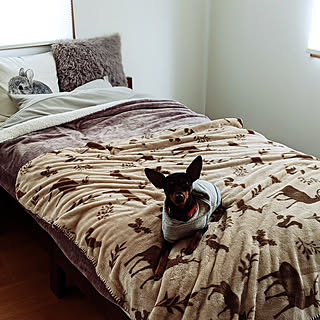 コストコ 犬小屋スペースのまとめページ Roomclip ルームクリップ コストコ 犬小屋スペースのまとめページ Roomclip ルームクリップ