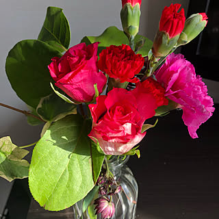 ブーケ/誕生日/生花のある暮らし/生花/リビングのインテリア実例 - 2020-02-24 21:38:51