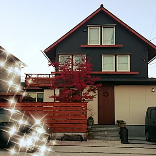 紅葉 イロハモミジのインテリア実例 Roomclip ルームクリップ
