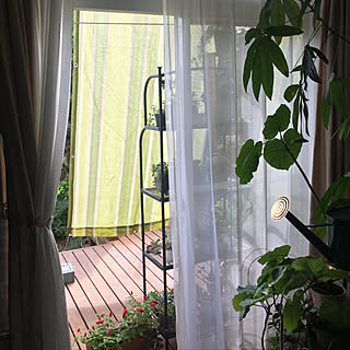 カインズホーム サンシェードのインテリア実例 Roomclip ルームクリップ